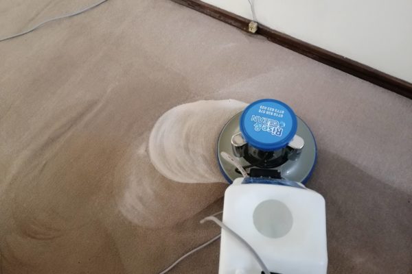 Carpet Cleaning